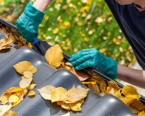 Gutter Cleaning